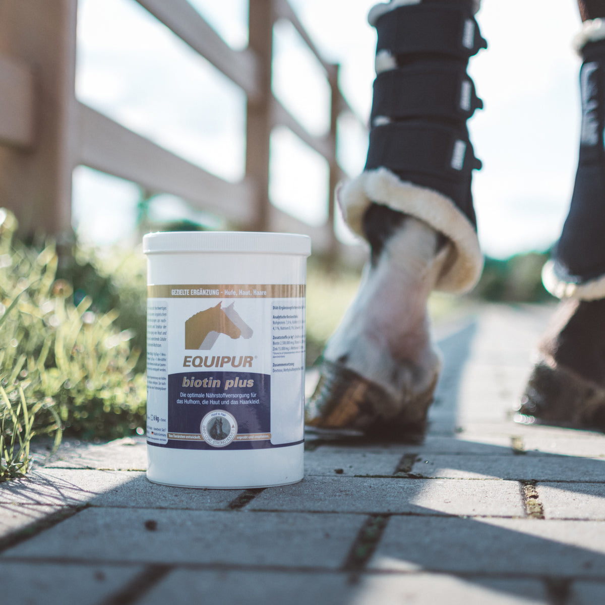 EQUIPUR biotin plus 1000 g Pulver