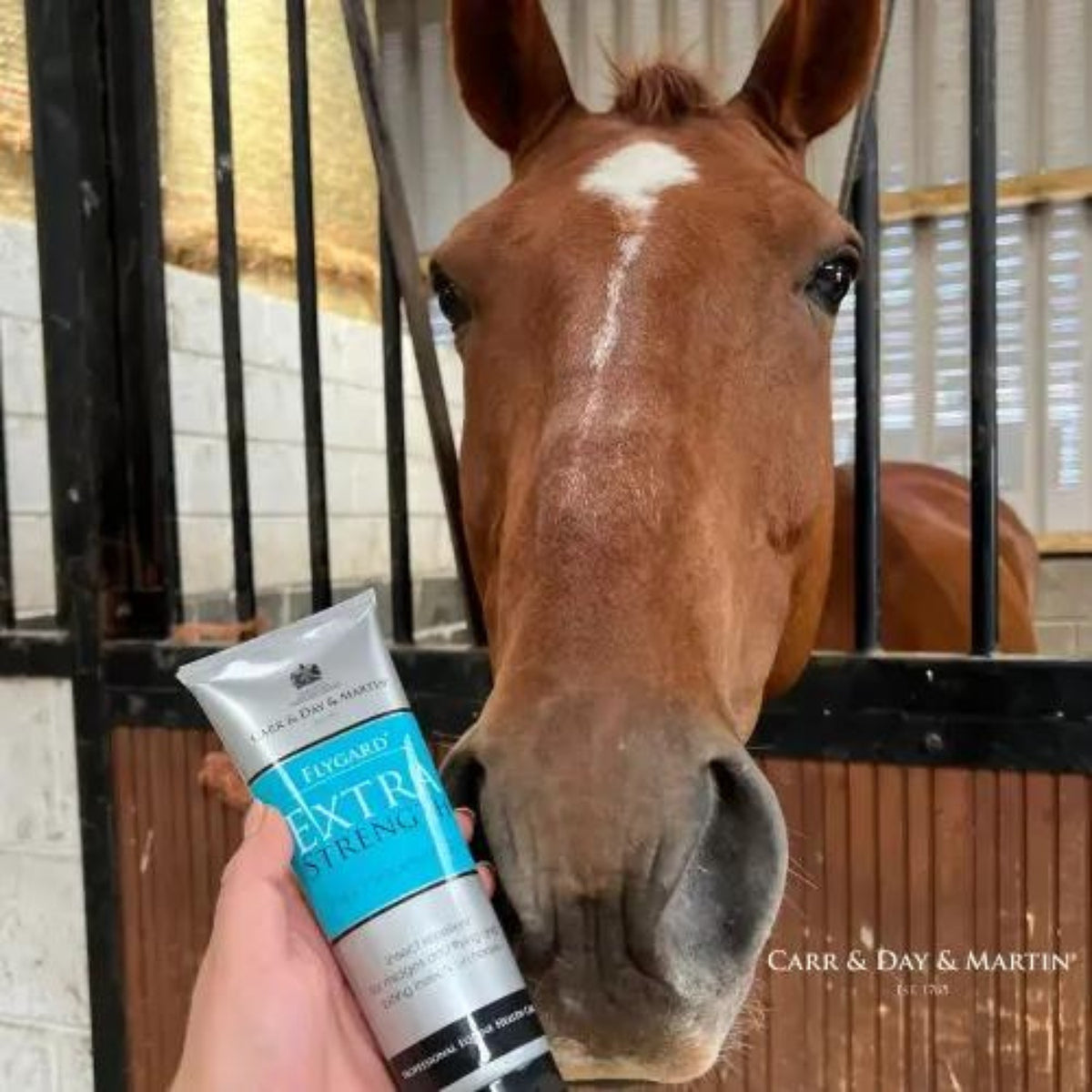 Carr & Day & Martin Flygard Extra Stark Gel 250ml