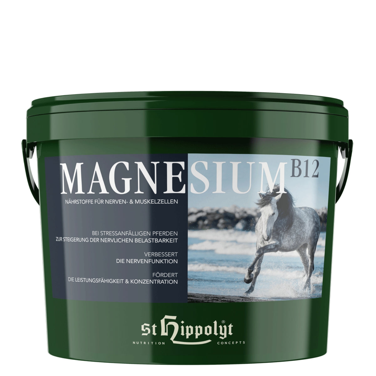 St. Hippolyt Magnesium B-12 2,5kg