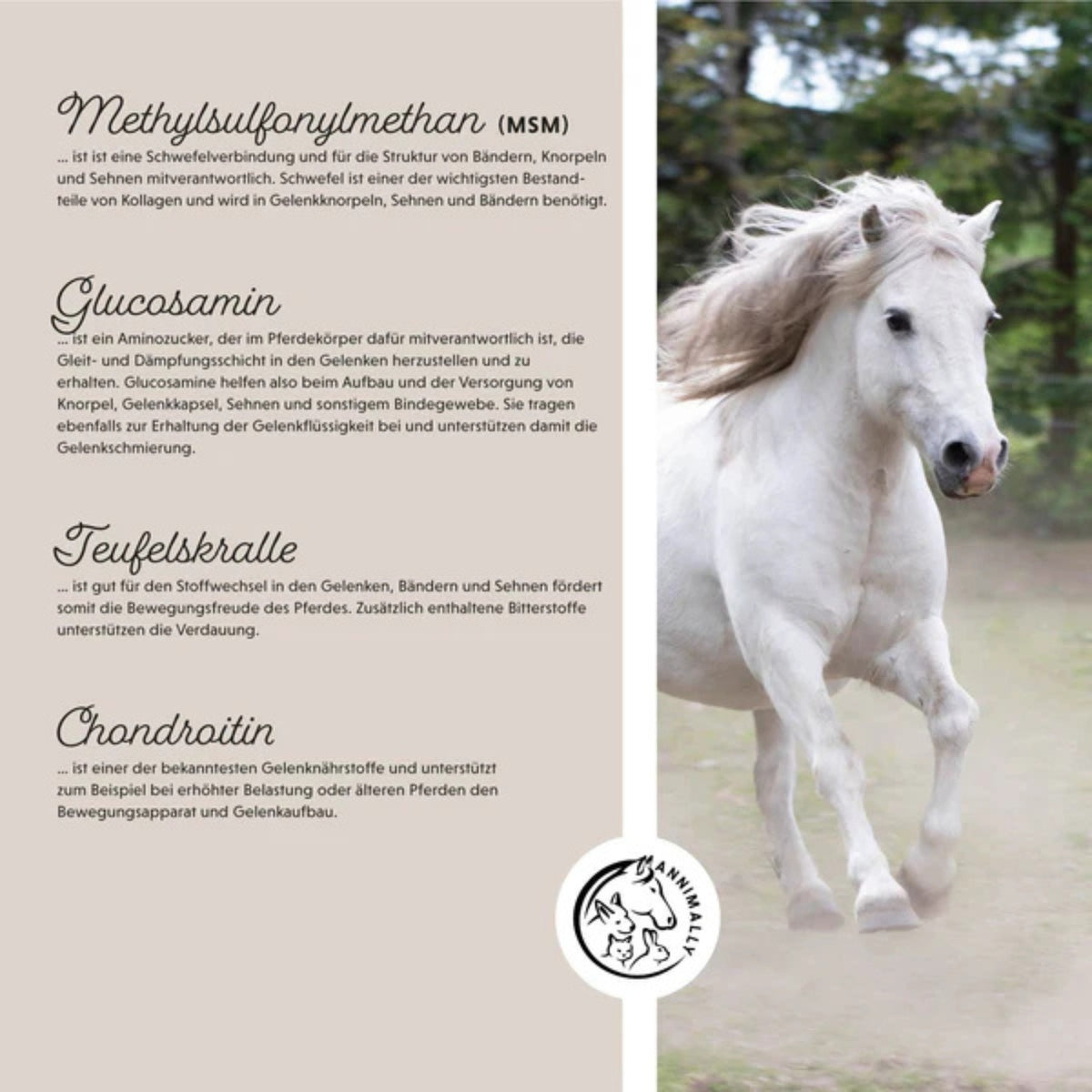 Annimally Bewegungsfreude Pulver für Pferde Nachfüllpack 2kg