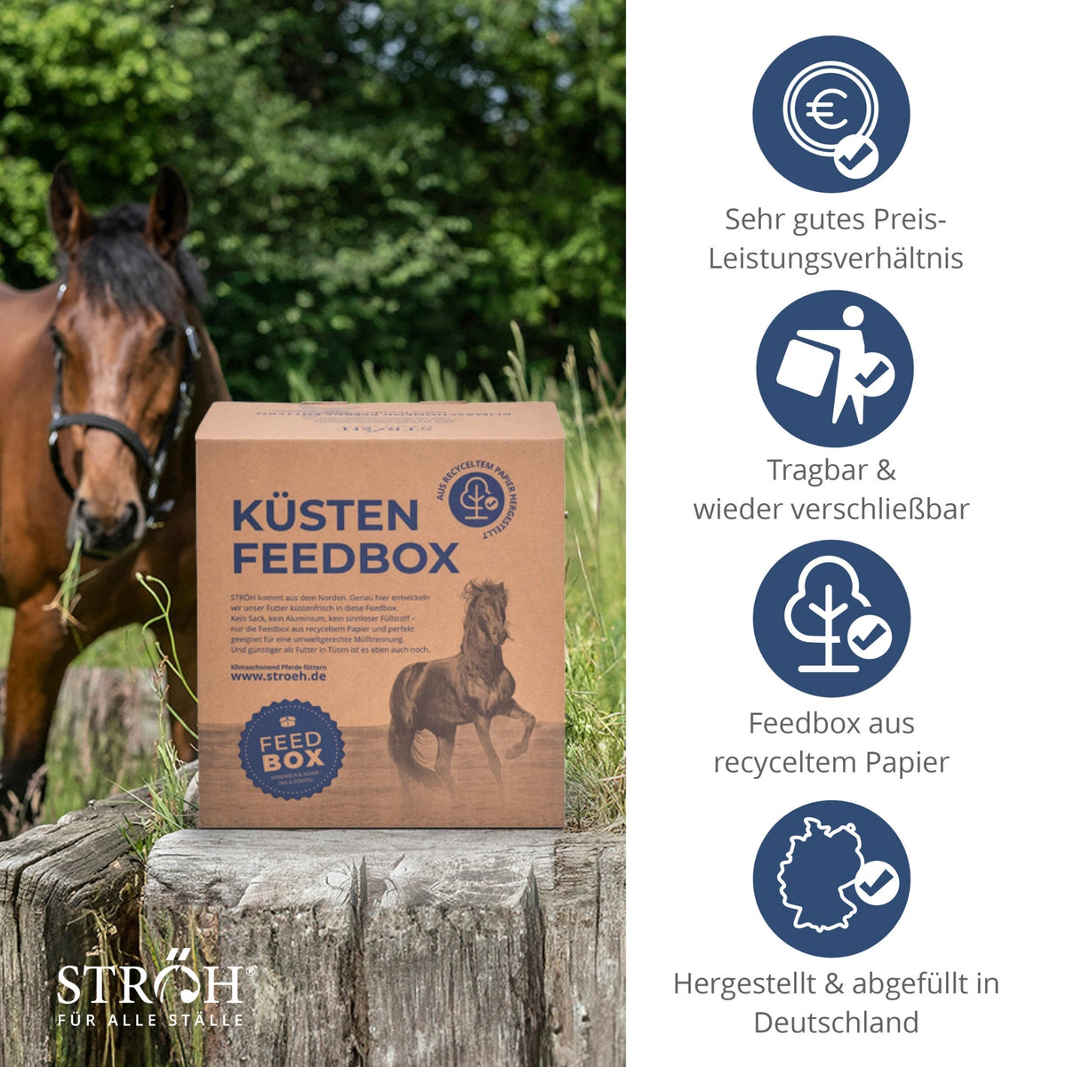 STRÖH Küsten Atemluft für Pferde 11kg Feedbox