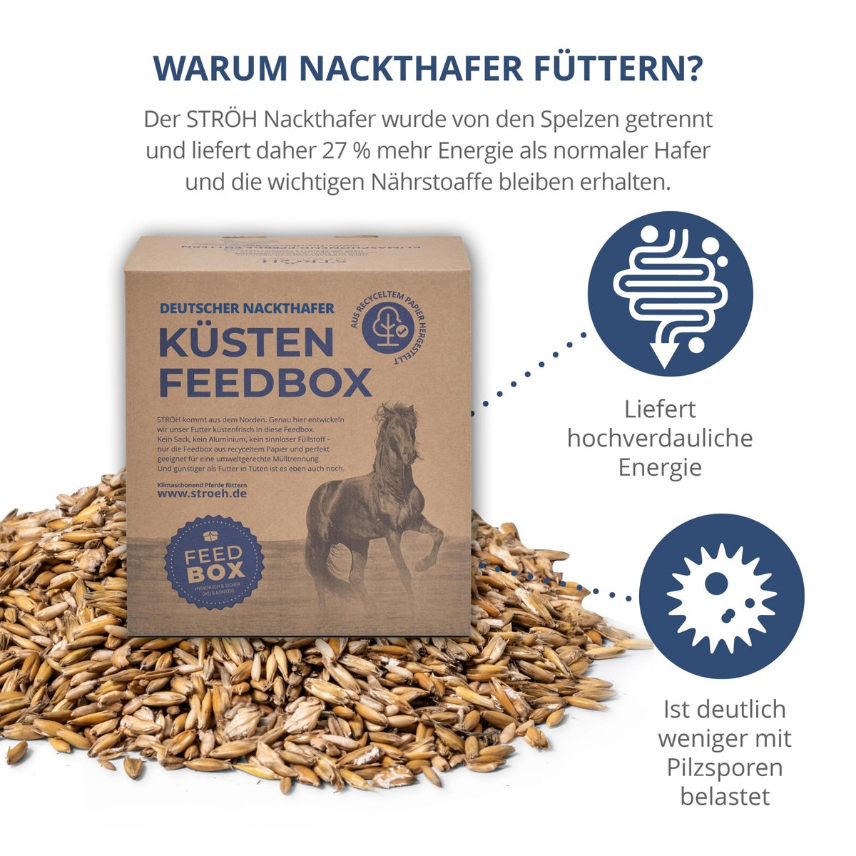 STRÖH Deutscher Hafer gereinigt und gequetscht für Pferde 10kg Feedbox