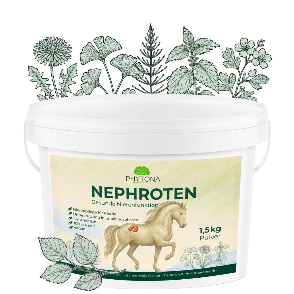 Phytona Nephroten 1500g