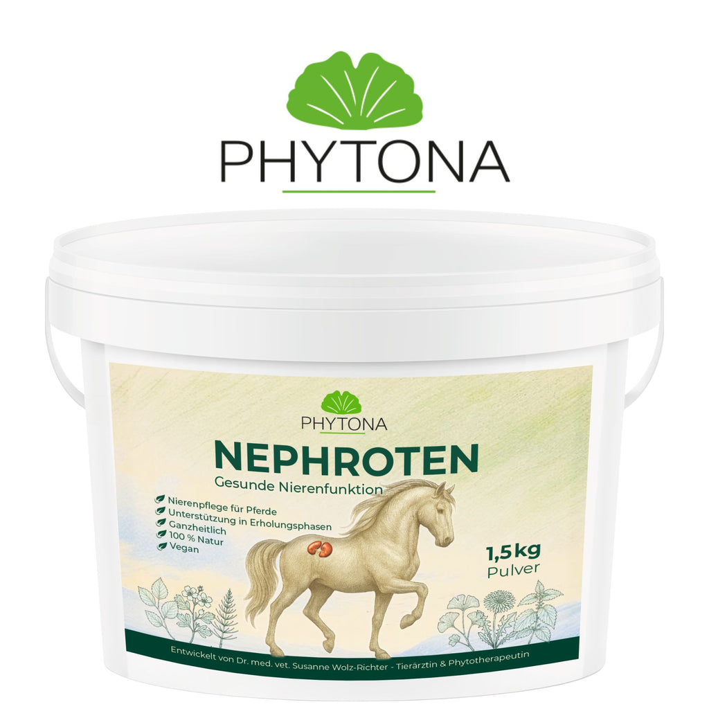 Phytona Nephroten 1500g