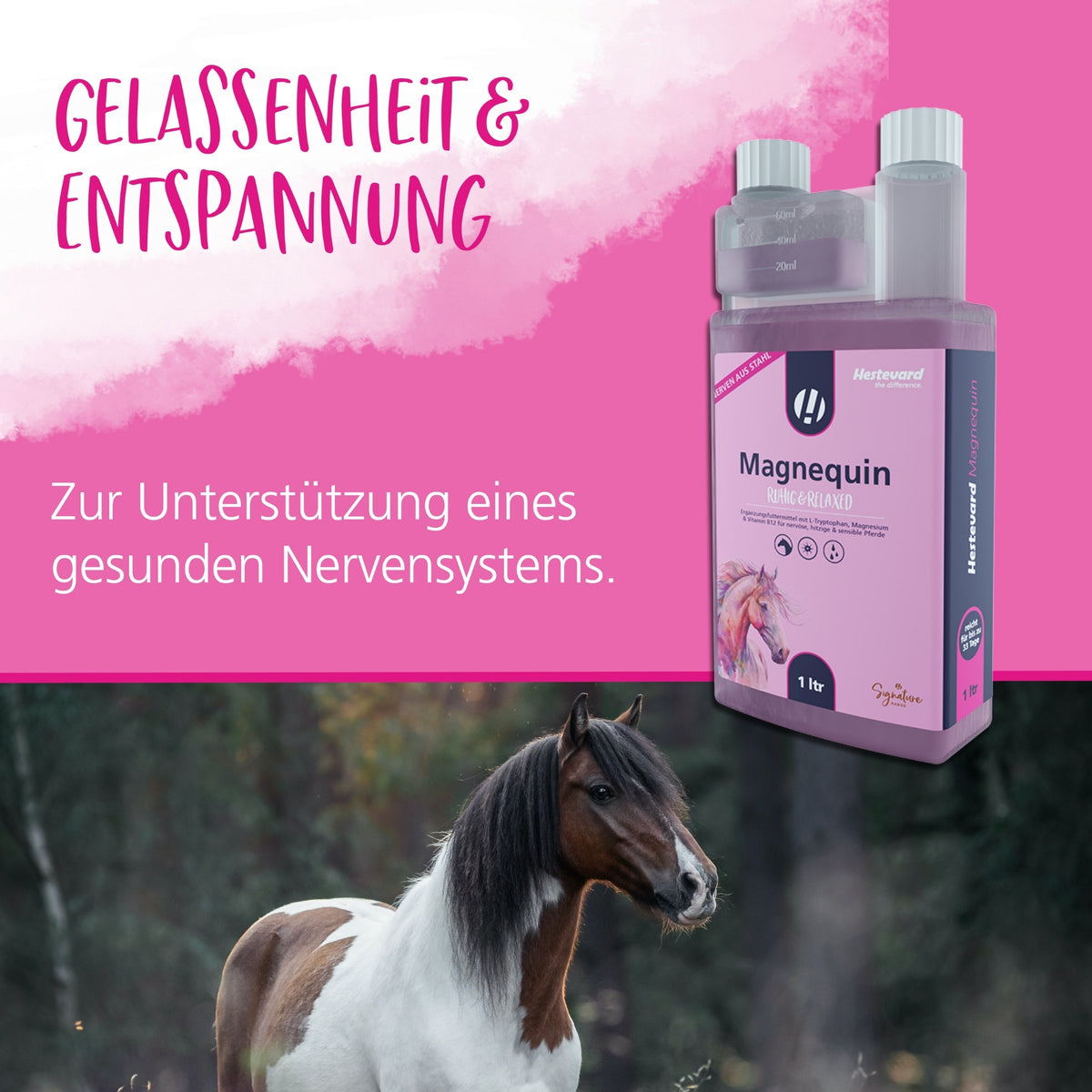 Hestevard Magnequin für Pferde 1000ml