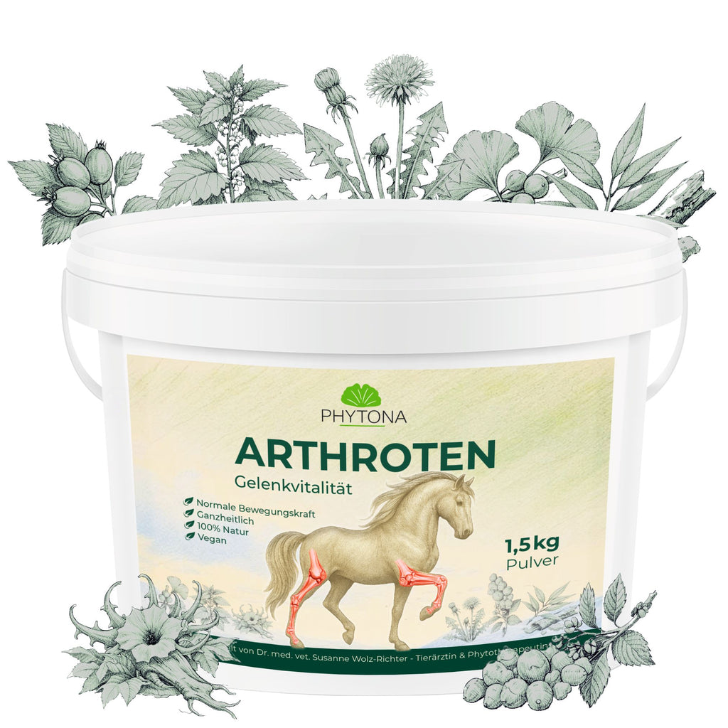 Phytona Arthroten 1500g