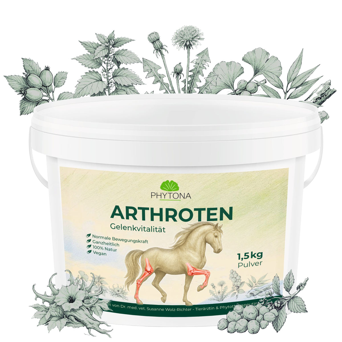 Phytona Arthroten 1500g
