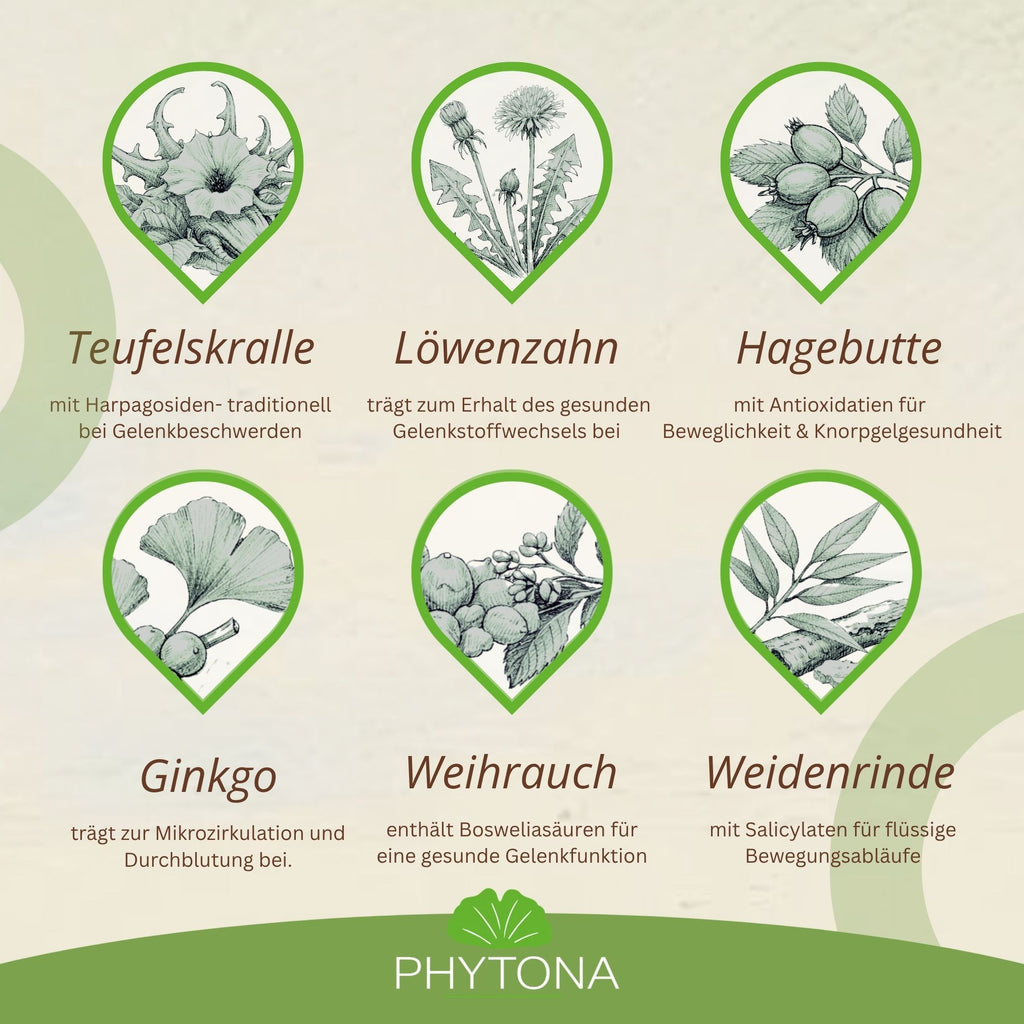 Phytona Arthroten 1500g
