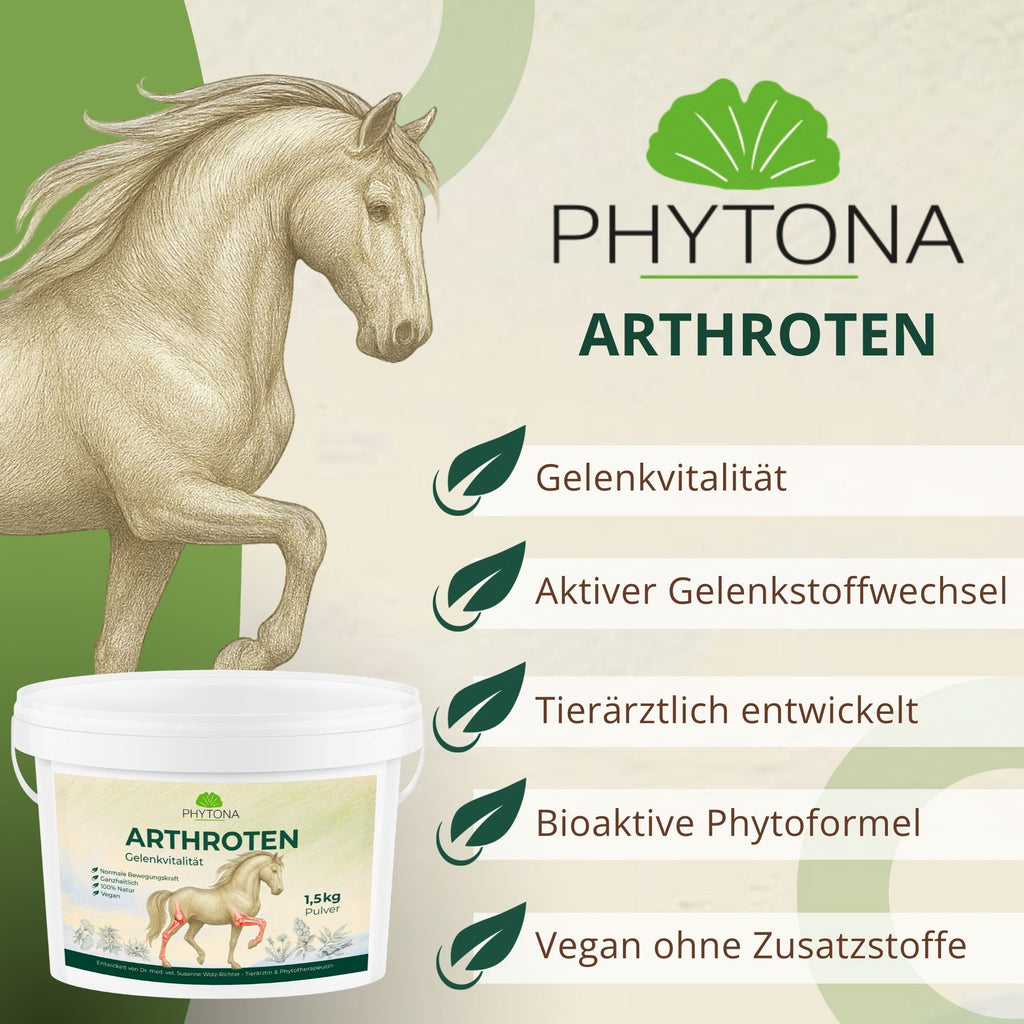 Phytona Arthroten 1500g