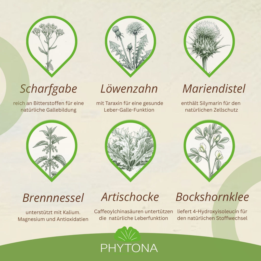 Phytona Heparten 1500g