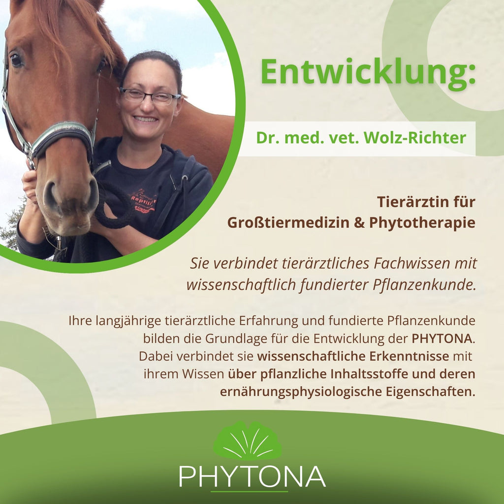 11779 – Bild 50