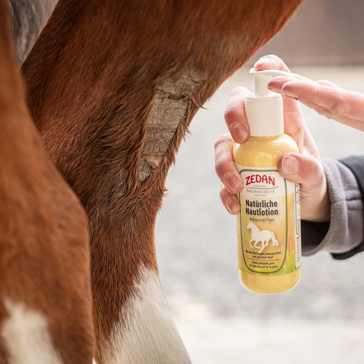 ZEDAN Natürliche Hautlotion-Intensivpflege 250ml