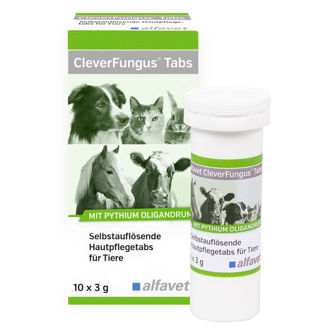 CleverFungus Tabs 10x3g selbstauflösende Tabs