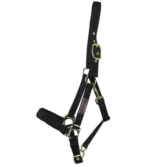 Equidocs Nylonhalfter schwarz Gr. Shetty