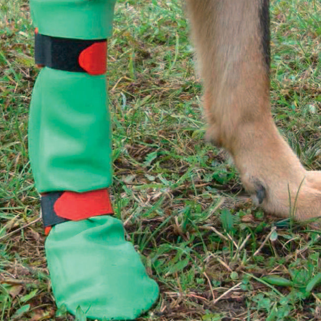 DogGusti Pfotenschutzstiefel für den Hund XL