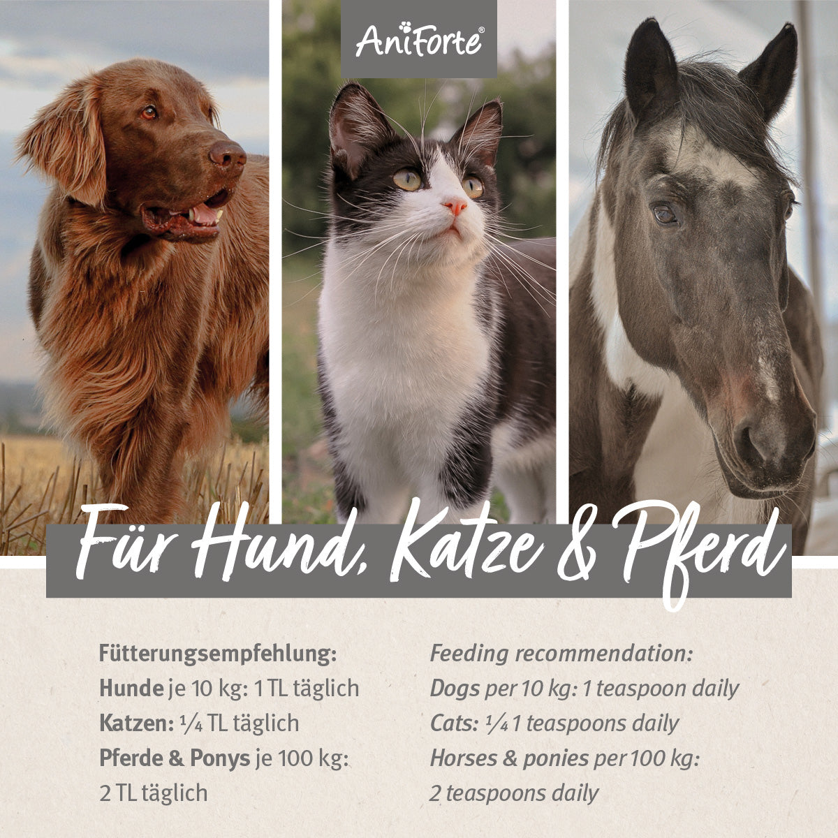AniForte Lachsöl 5000ml