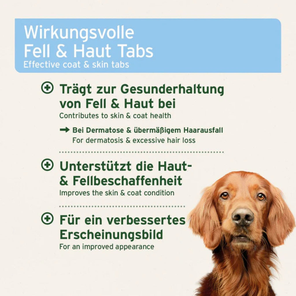 AniForte plus Fell & Haut 90 Tabletten