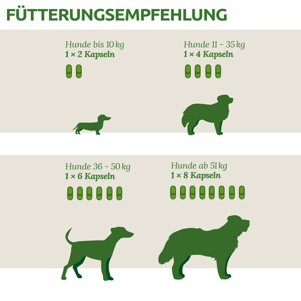 AniForte WermiX Kapseln für Hunde 50 Kapseln