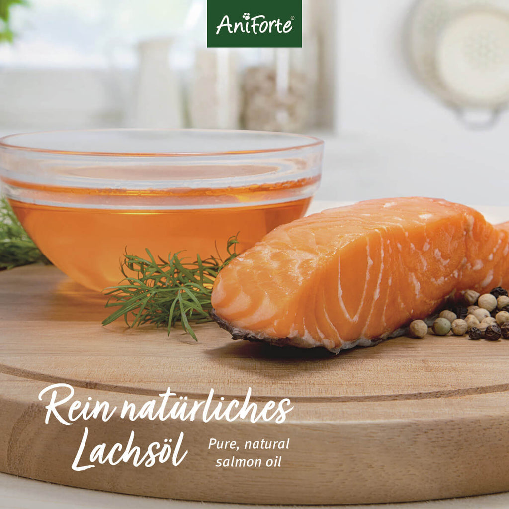 AniForte Lachsöl 500ml