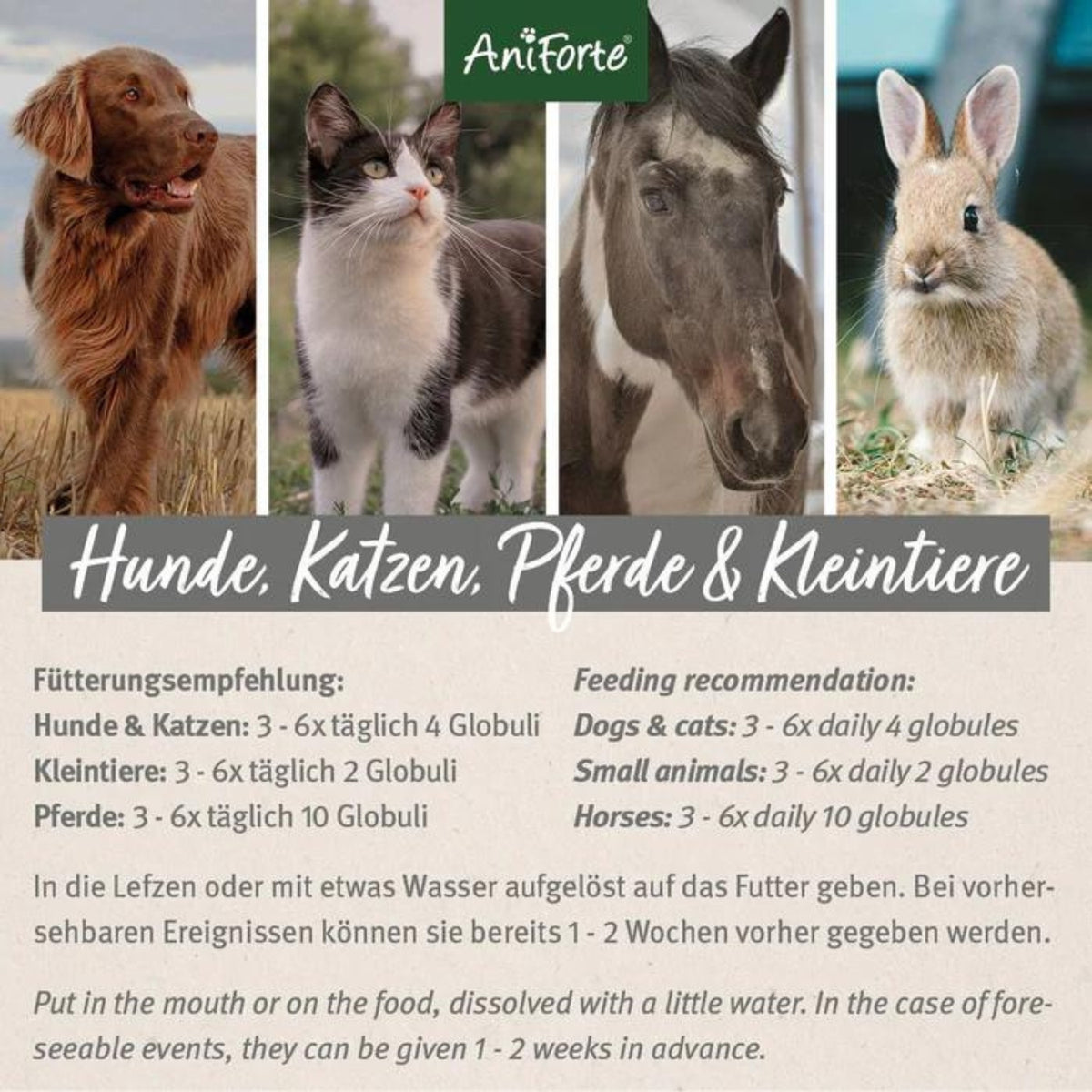 Aniforte Bachblüten Wohlfühl Globuli 15g