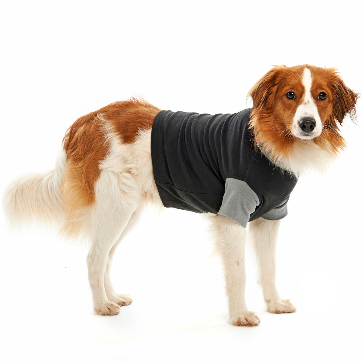 Hundebody Buster Op-Body UNISEX XXXS 26cm