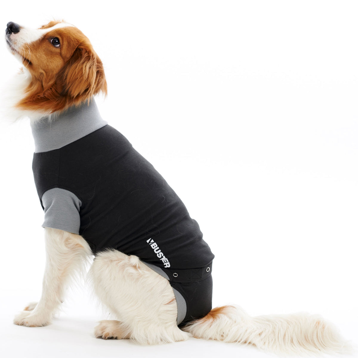 Hundebody Buster Op-Body UNISEX S 42cm