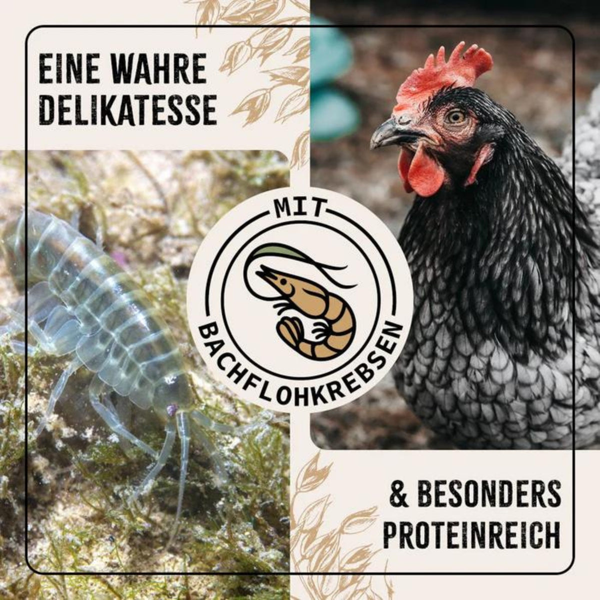AniForte Hühnertraum für Hühner 2500g
