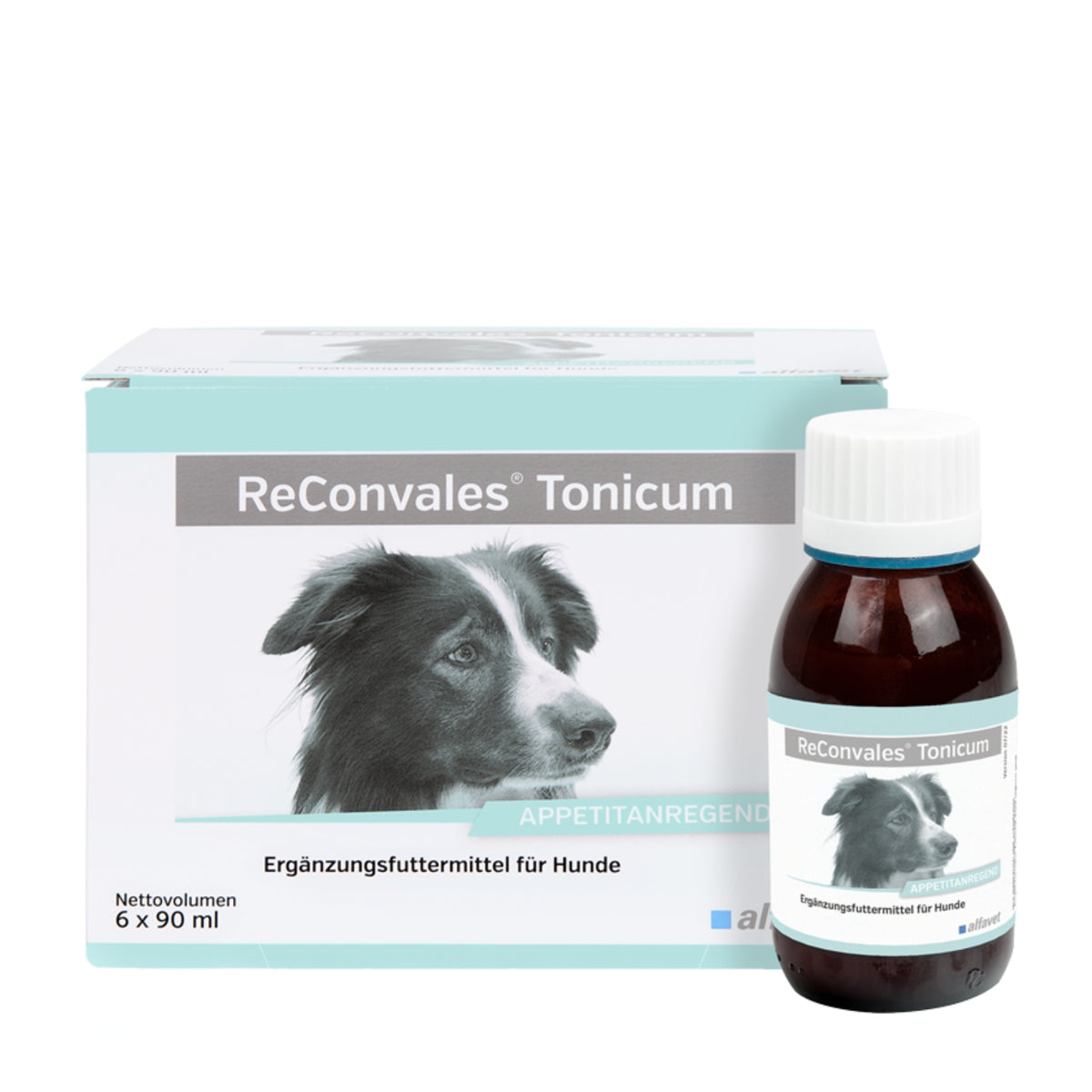 ReConvales Tonicum Hund 6x90ml bei Untergewicht
