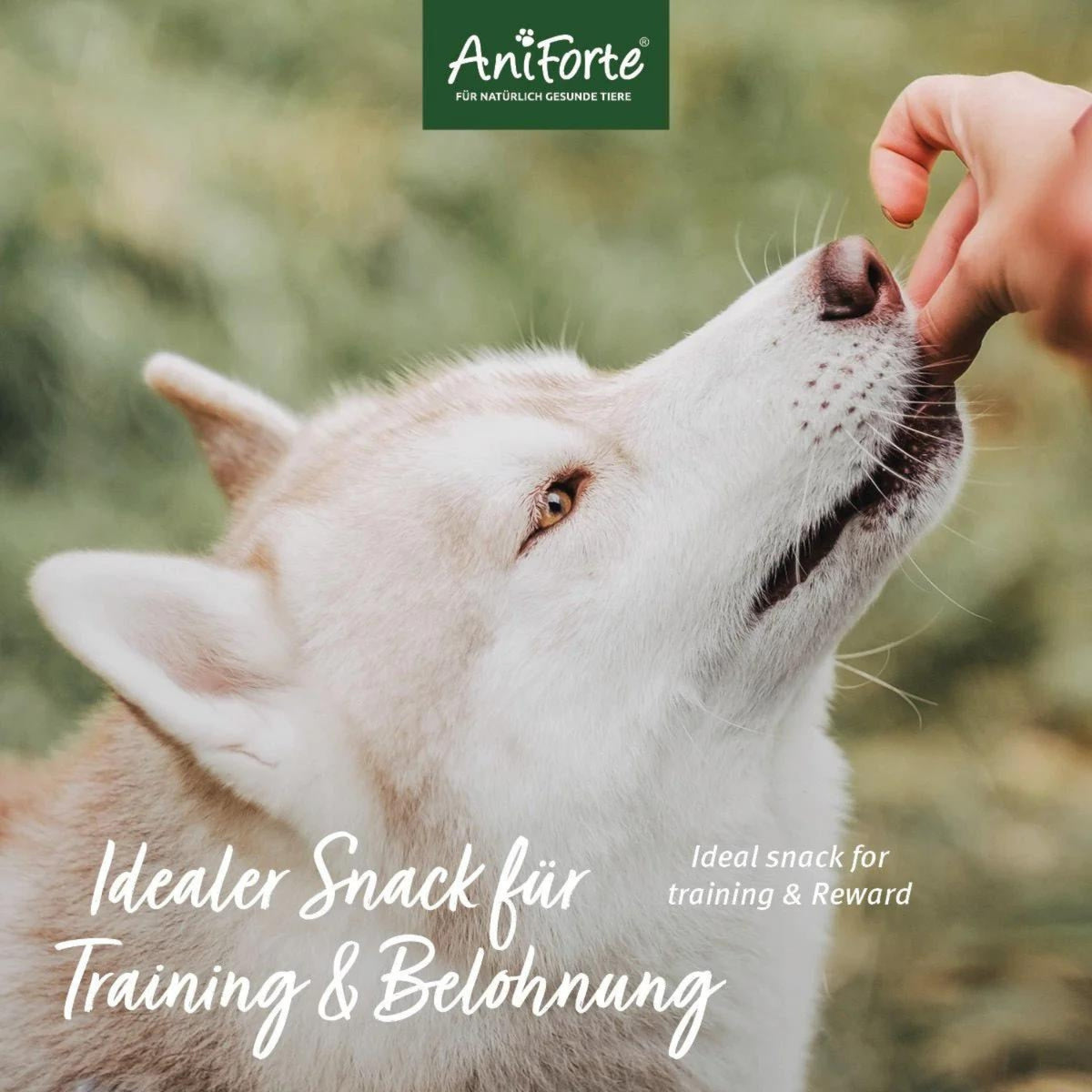 AniForte Dog Snacks Rind 150g