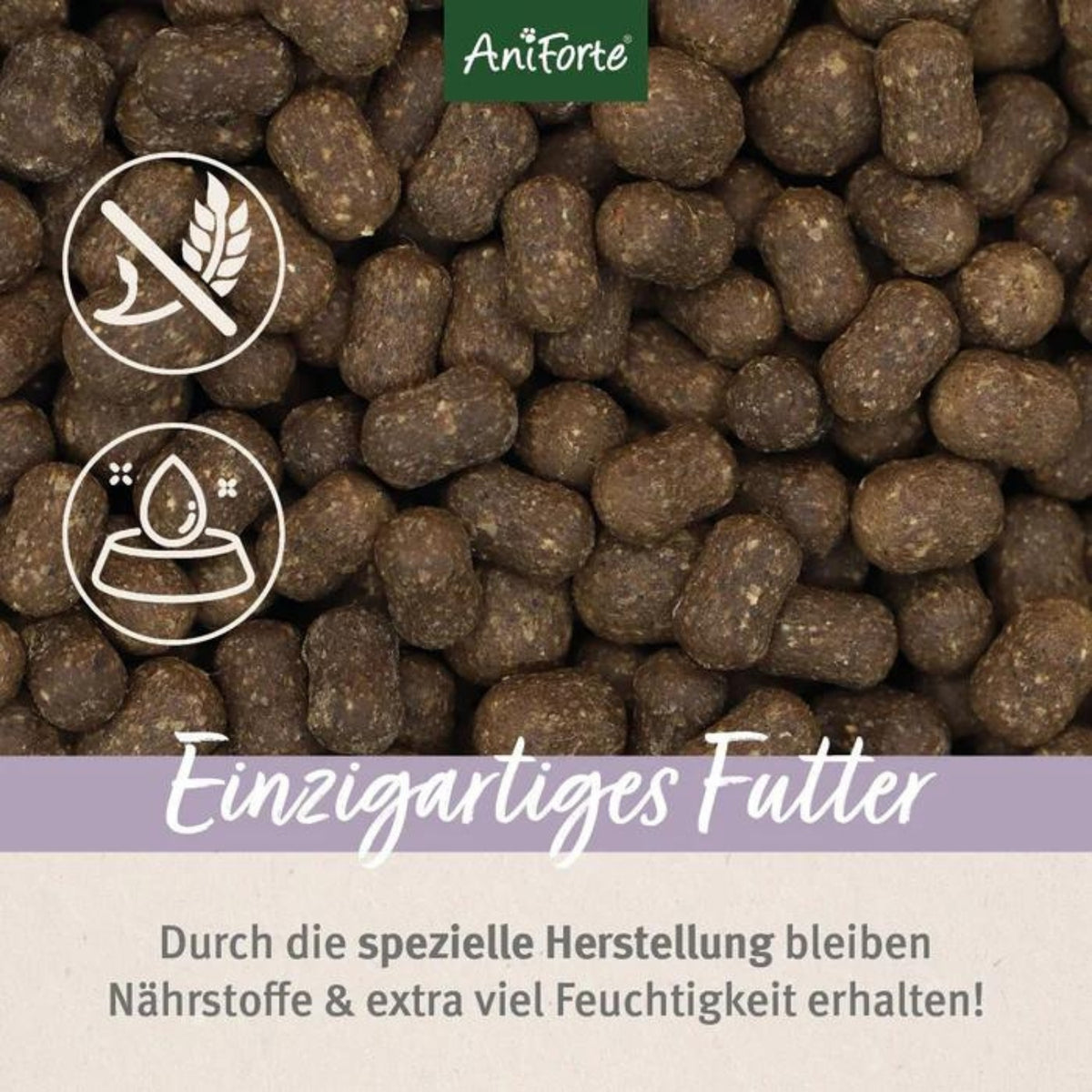 AniForte Trockenfutter FarmsLamb für Hunde 12,5 MHD 30.12.2026