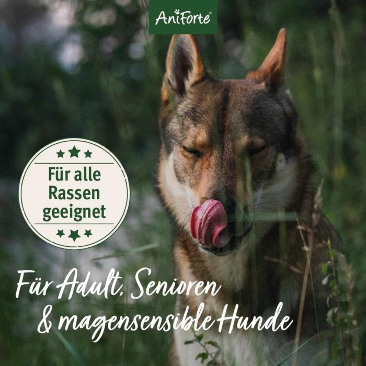 AniForte Trockenfutter FarmsLamb für Hunde 12,5 MHD 30.12.2026