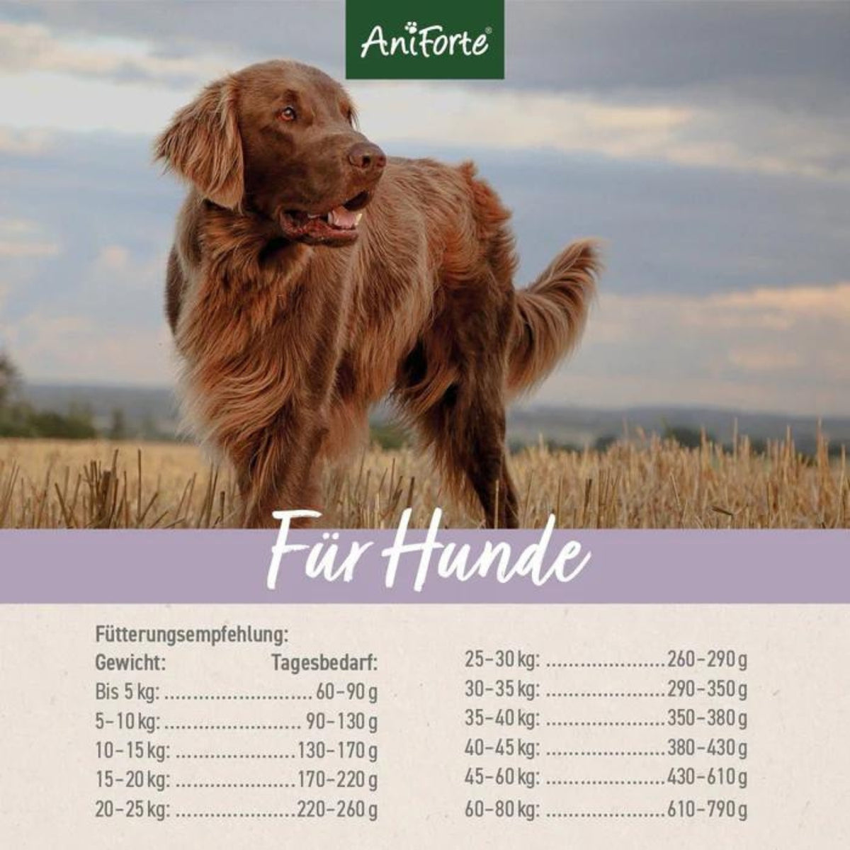 AniForte Trockenfutter FarmsLamb für Hunde 12,5 MHD 30.12.2026