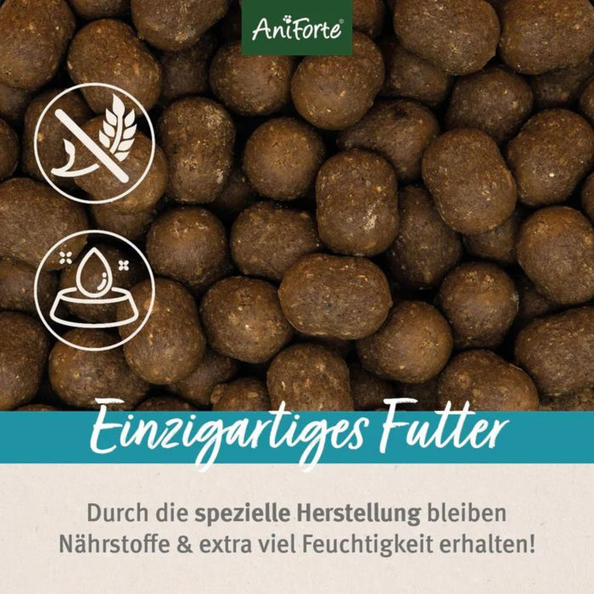 AniForte Trockenfutter FjordSalmon - Frischer Lachs mit Kartoffeln  für Hunde 2kg
