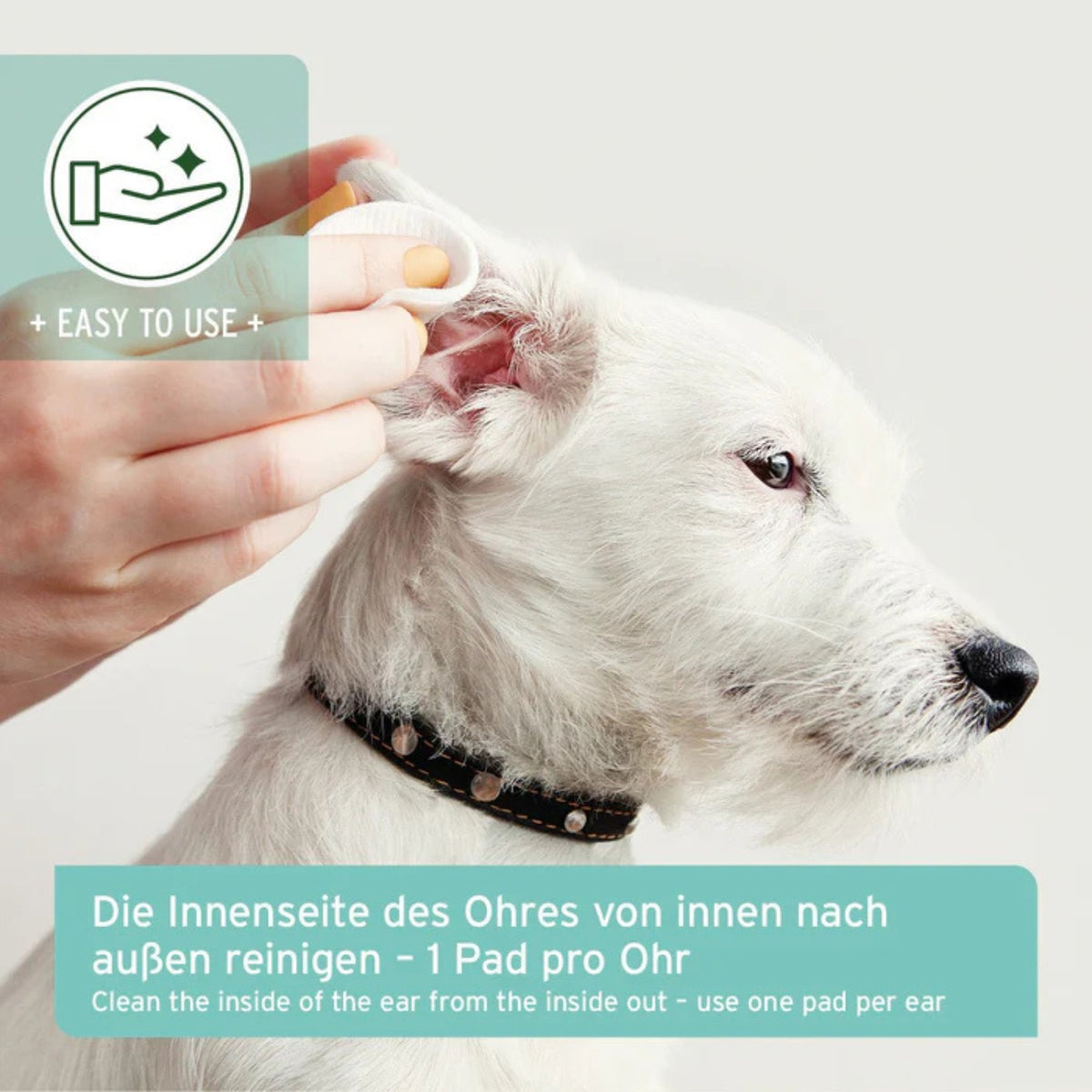 AniForte Ohren-Reinigungspads 100 Stück MHD 01.12.2026