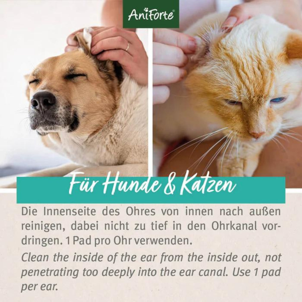 AniForte Ohren-Reinigungspads 100 Stück MHD 01.12.2026