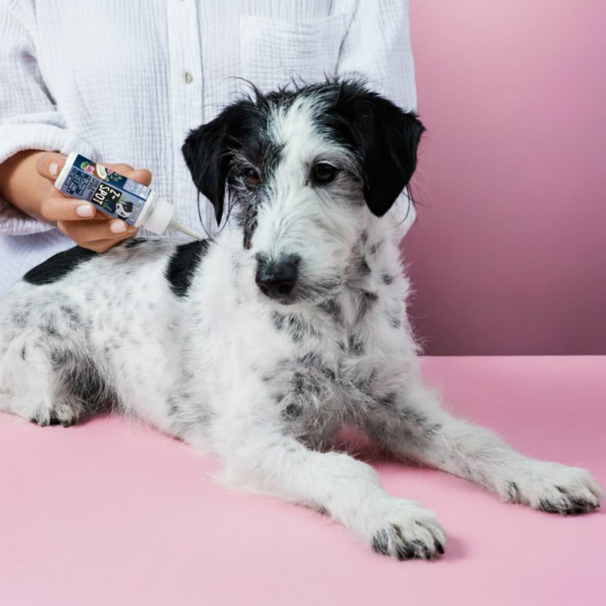Tierliebhaber Z-Spot für Hunde 50 ml MHD 30.01.2027