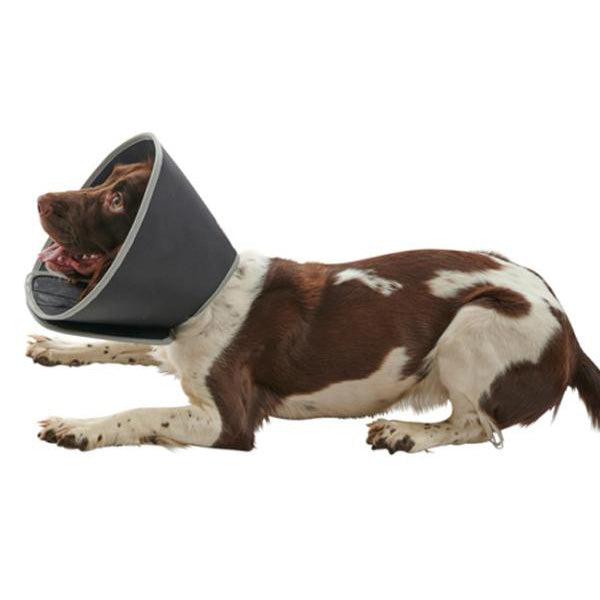 Dechra Halskragen Foam Collar 25cm