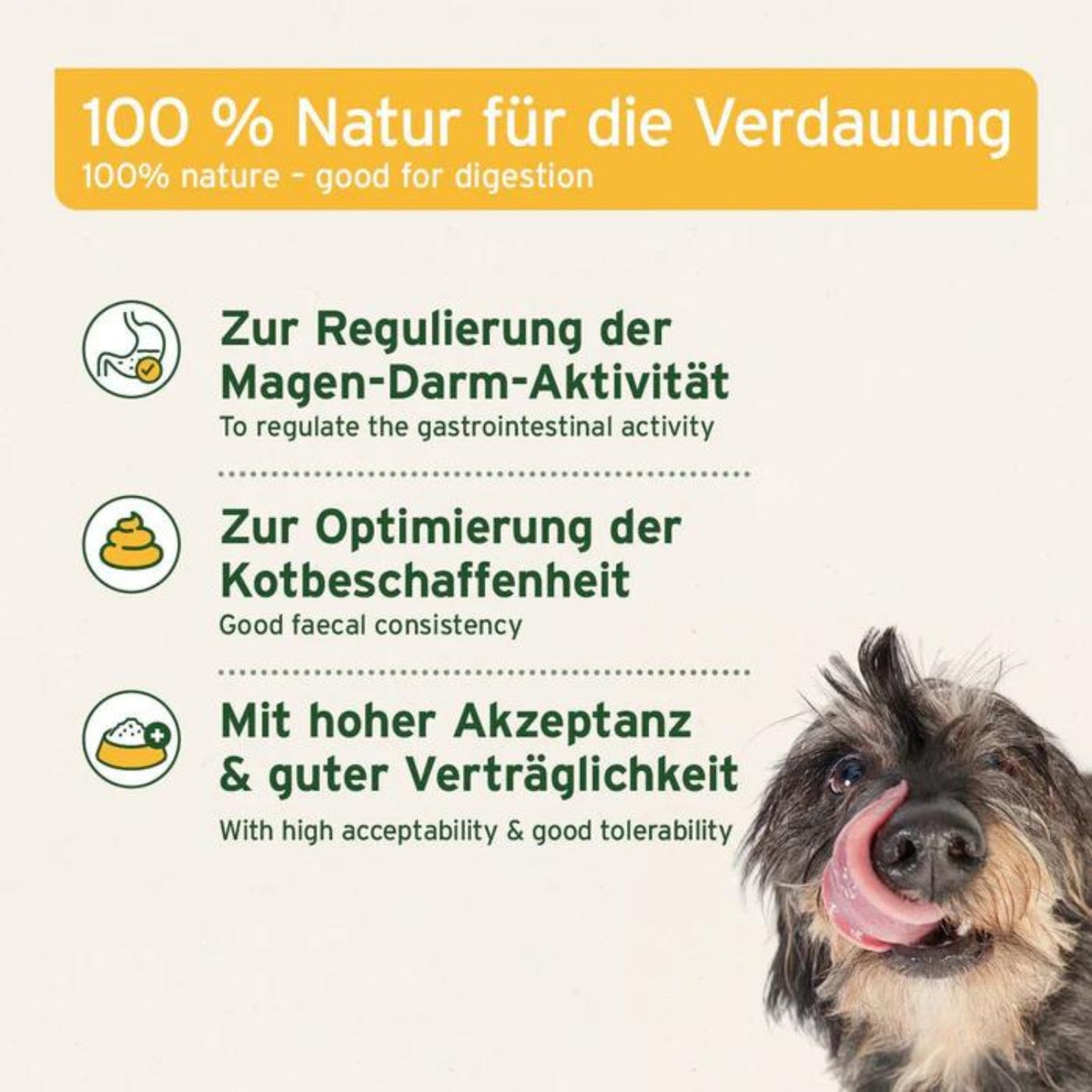 AniForte Naturmoor für Hund und Katze 300g