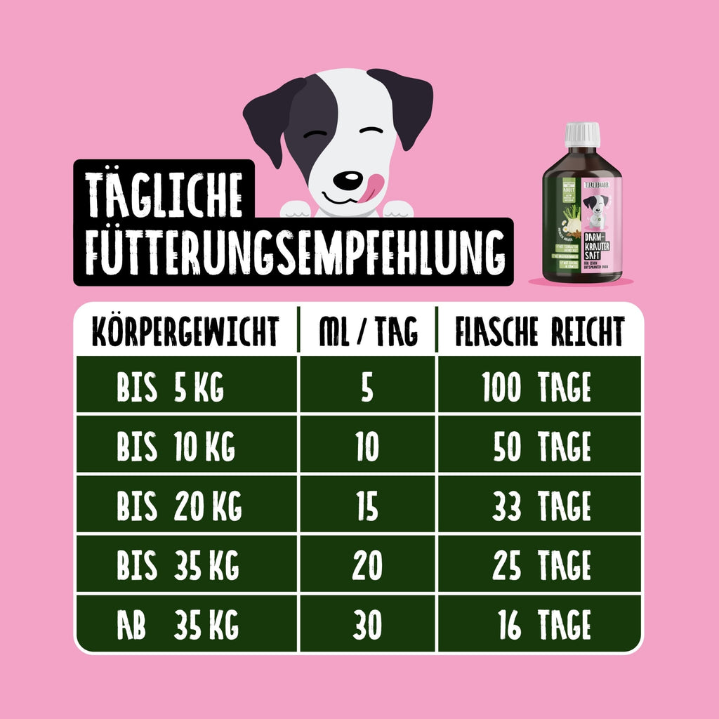 33745-K3 – Bild 2