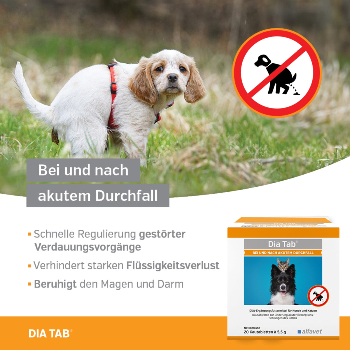 Dia Tab 20x5,5g Kautabletten Hund Katze