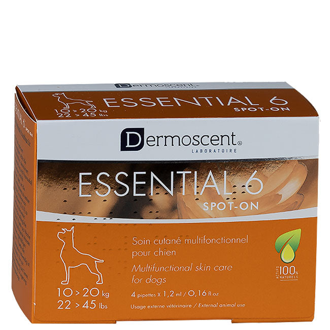 Dermoscent Essential 6 spot-on Hund 10-20kg, 4x1,2ml MHD 01.01.2027