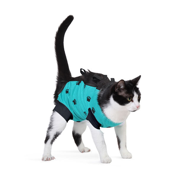 Bauchverband für Hunde und Katzen Apfelgrün XXS 19cm